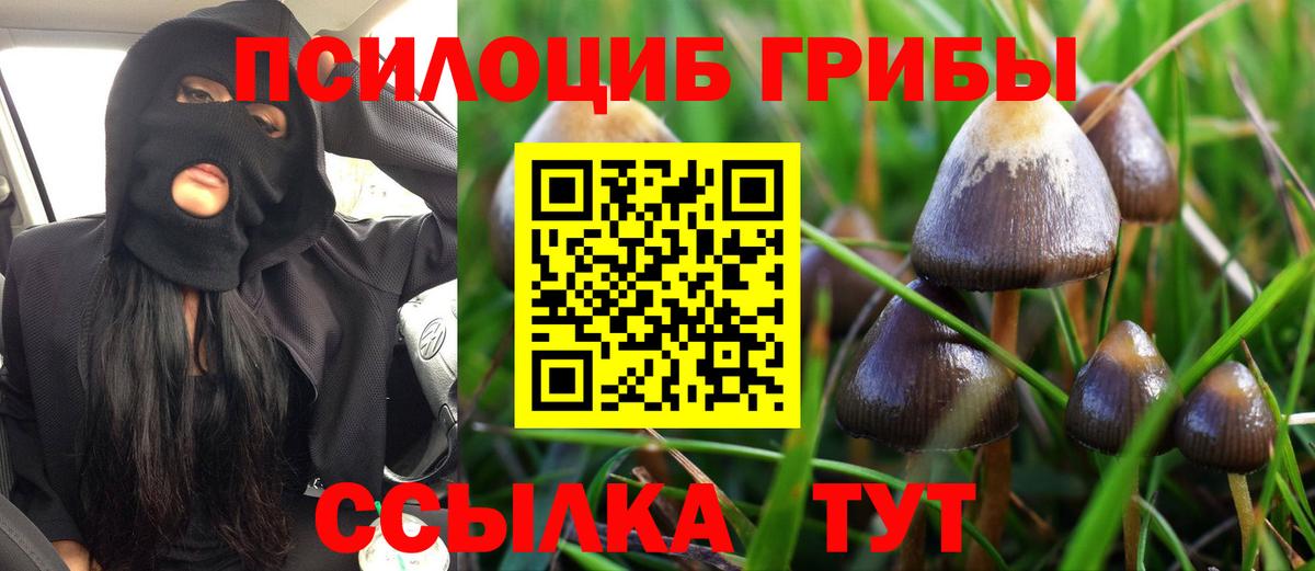 Галлюциногенные грибы GOLDEN TEACHER  Вход с VPN  Псилоцибиновые грибы Cubensis  Набережные Челны 