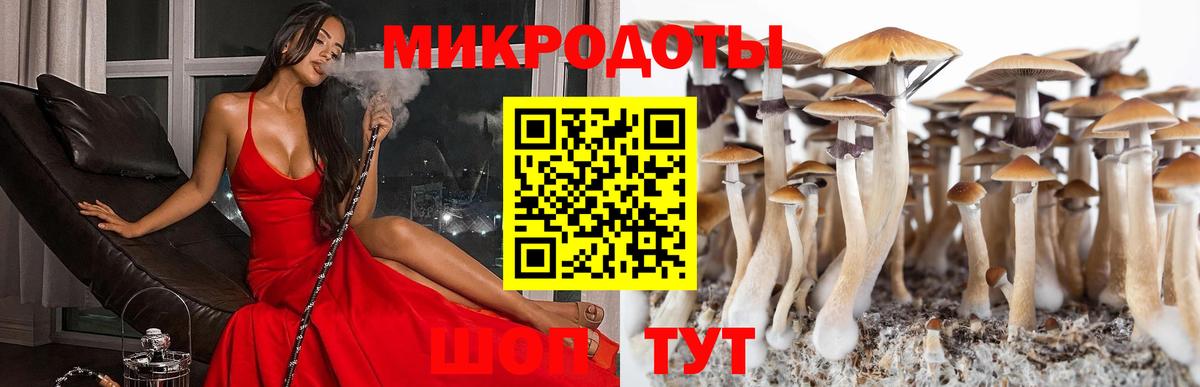 Псилоцибиновые грибы мицелий Набережные Челны